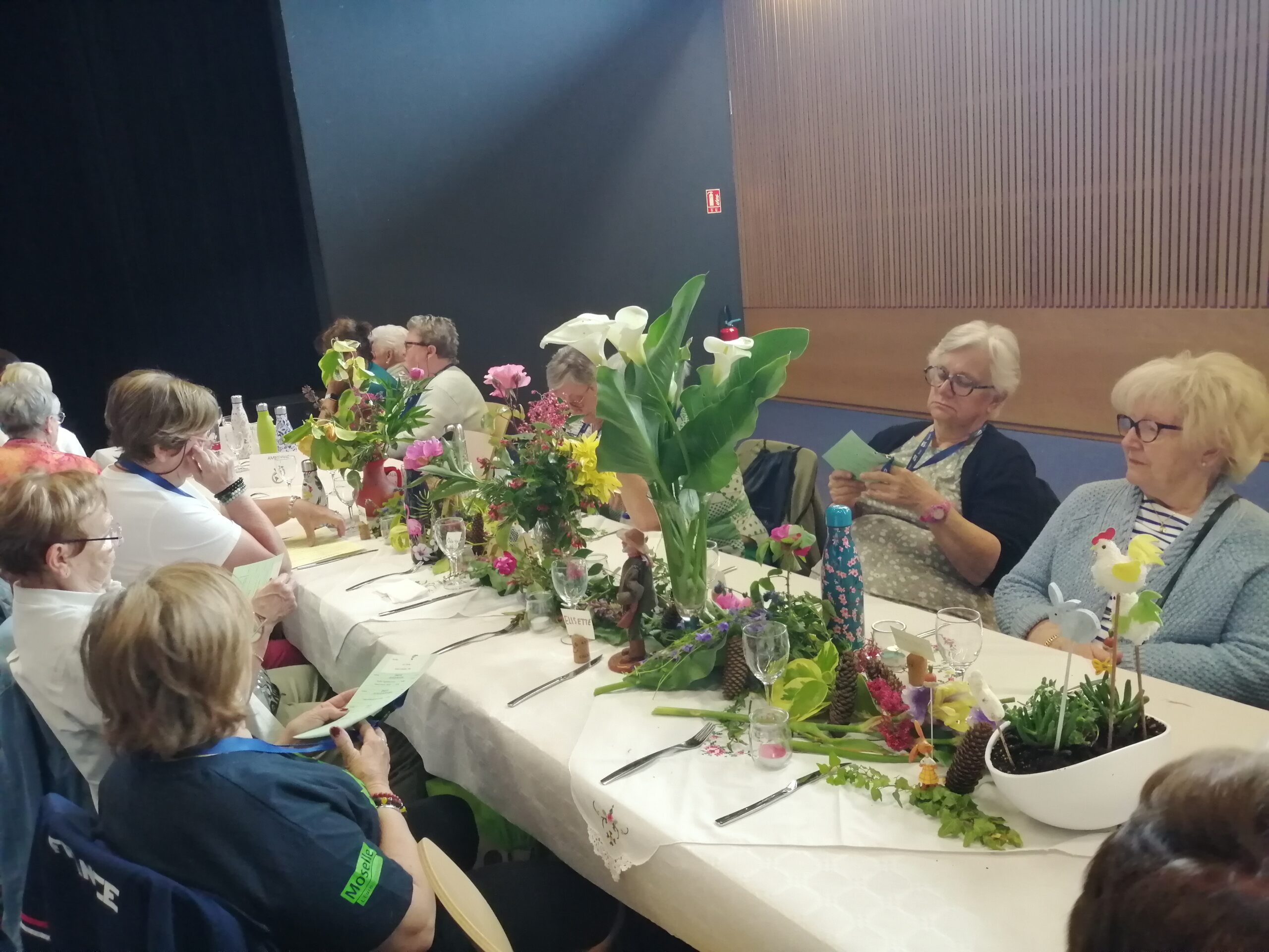 sport-olympiades-seniors-moselle-federation