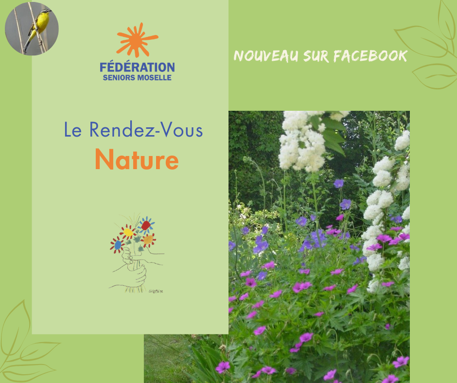 ecologie-moselle-seniors-federation-astuces-jardinage