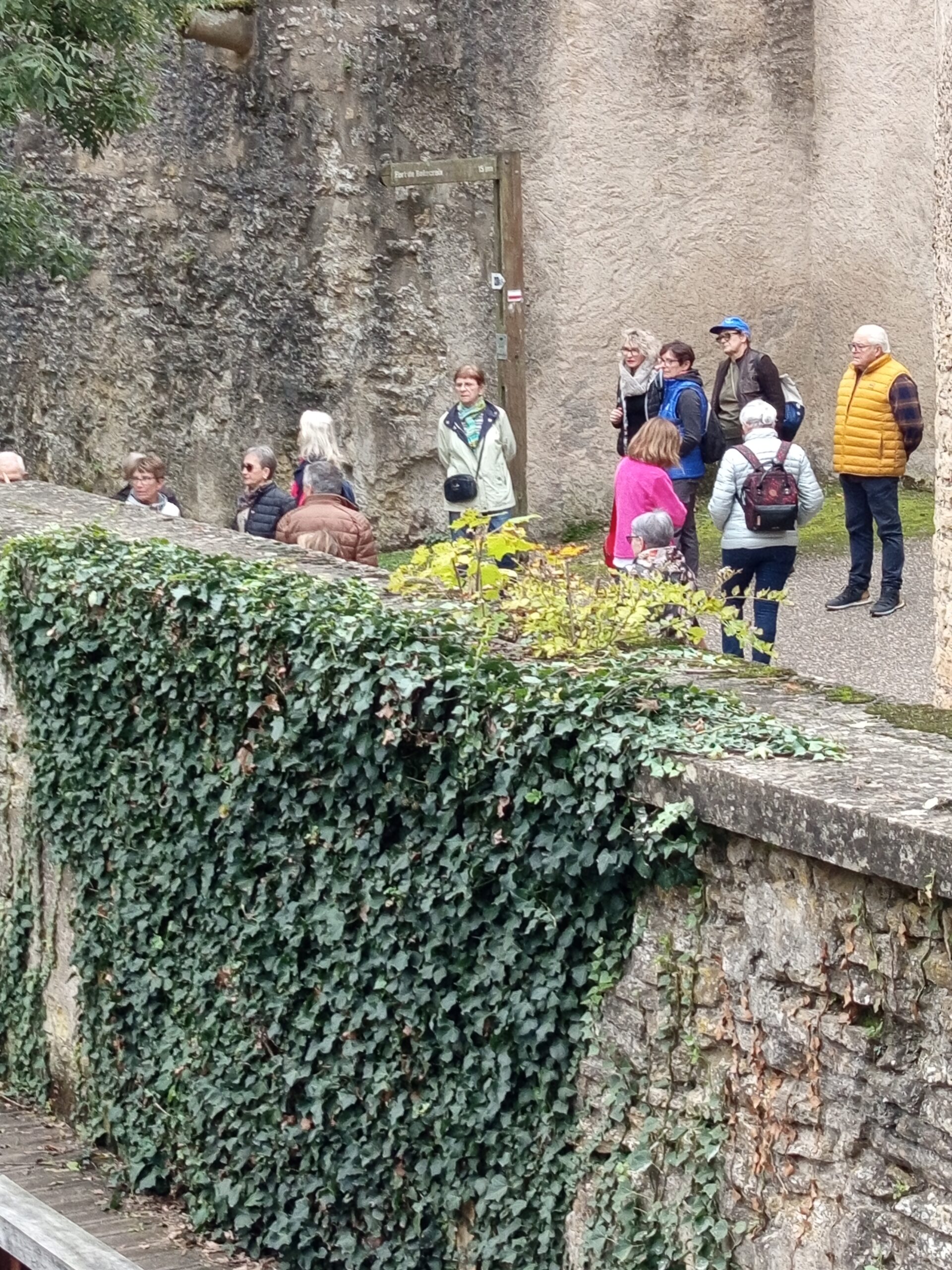 1760513444059 marche-semaine-bleue-ccas-metz-federation-seniors